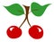 Red cherries twig leaf leaves illustration fresh