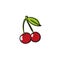 Red Cherries Vector Hand Drawn Illustration