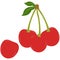 Red Cherries Vector Hand Drawn Illustration