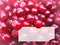 Red cherry berries macro background template juice organic food ingredient