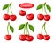 Red cherry berry fruit garden plant branch with leaves, juicy vitamin dessert food icon set. Sweet juice drink, jam, candy. Vector