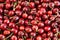 Red cherry macro closeup