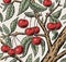 Red cherry, ripe, tree isolated. Engraving, drawing. Freehand. Flora. Vintage vector realistic illustration. Background seamless.