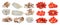 red cherry tomatoes , dried tomato and Shiitake mushroom , Enoki mushroom, White beech mushrooms, oyster mushroom on the White ba