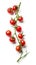 Red cherry tomatoes on a twig