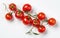 Red cherry tomatoes on a twig