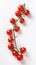 Red cherry tomatoes on a twig