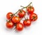 Red cherry tomatoes on a twig