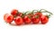 Red cherry tomatoes twig on white