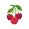 Red cherry on a white background. A branch of three cherries with leaves on the stem. Juicy berry. Sweet fruit cartoon. Hand drawn
