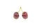 Red cherry on white background insulated