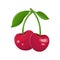 Red cherry on a white background. Two cherries on a branch with leaves. Juicy maroon berry. Sweet fruit cartoon. Hand