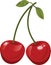 Red cherrys with green leafs  cartoon fruit vector illustration