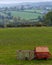 Red Chicken Coop in rural Northern Ireland farmland