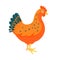 Red chicken funny vector illustration