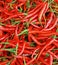 Red chili background