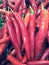 Red chili, fresh vegetable