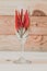 Red chili pepper inside wine glass