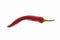 Red chili pepper spicy curved fresh. Pod of papper seasoning asia on isolated white background