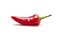 Red Chili Pepper on White