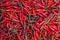 Red chili peppers, closeup view