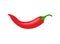 Red chili spicy pepper. Hot chili spice pepper vector icon illustration paprika cooking background