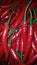 The red chili vegetables good vitamins and healthy