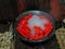 Red chilies being boiled in boiling water