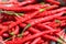 red chilies pepper in a plastic bag