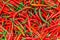 Red Chilli Background