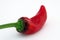 Red chilli banana pepper with green stalk