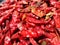 Red chilli drying in sunlight in india