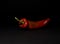 Red chilli pepper, bell pepper horn, close up, copy space