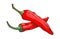 Red chilli pepper food seasoning hand drawn style vegetable ingredient paprika spicy and fresh vegetarian color organic