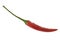 Red chilli pepper on white