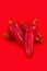 red chilli vegetable Isolated on red background