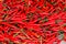 Red chillies background. Pile. Whole background of red chillies.