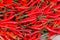 Red chillies background. Pile. Whole background of red chillies.
