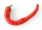 Red chilly pepper