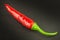 Red chilly pepper on wooden black background. Red hot chili peppers. Domestic cultivation extra hot chilli burn.