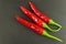 Red chilly pepper on wooden black background. Red hot chili peppers. Domestic cultivation extra hot chilli burn.