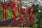 Red Chinese hanging decorations