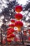 Red Chinese Lantern at winter forest hanging on a trees