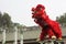 Red chinese Traditional lion dancing performance celebration festival Chinatown