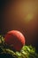 Red christmas ball on the branch of fir-tree on beautiful golden volumetric light background