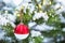 A red Christmas ball on a branch of a natural spruce covered with snow. Christmas, New year outdoor. Snowfall, garland lights,