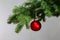 Red christmas ball on a fir branche. Gray background