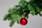 Red christmas ball on a fir branche. Gray background