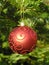 Red Christmas ball hanging on a Christmas tree