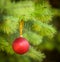 Red Christmas ball (xmas ball) on Christmas tree